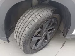 Volkswagen Tera