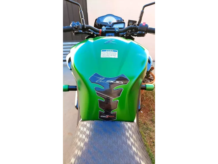 Kawasaki Z Verde 8