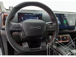BYD Shark