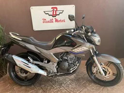 YS 250