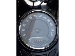 Harley-Davidson Slim