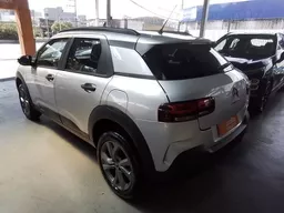 C4 Cactus