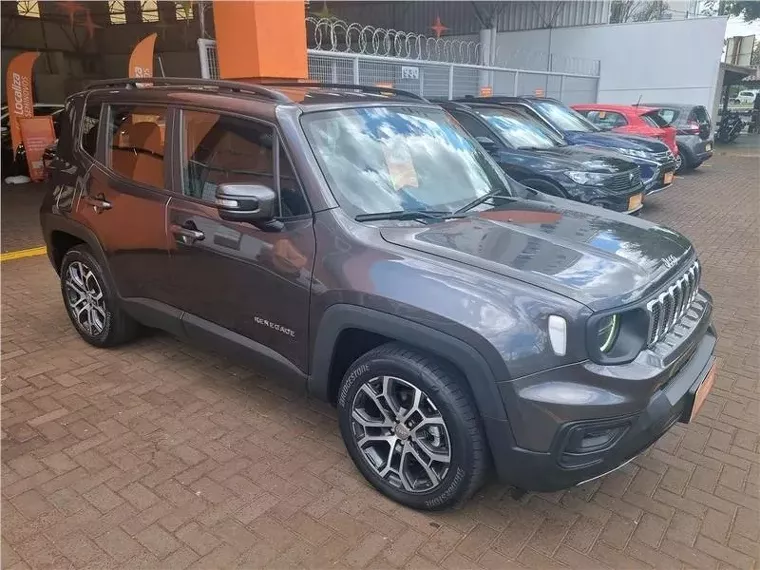 Jeep Renegade Cinza 10