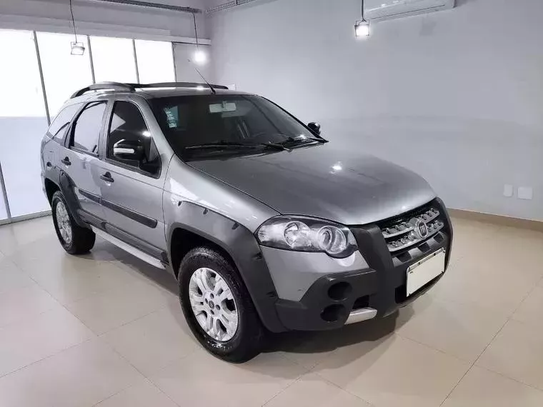 Fiat Palio Weekend Cinza 3