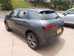 C4 Cactus