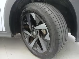 Volkswagen Tera