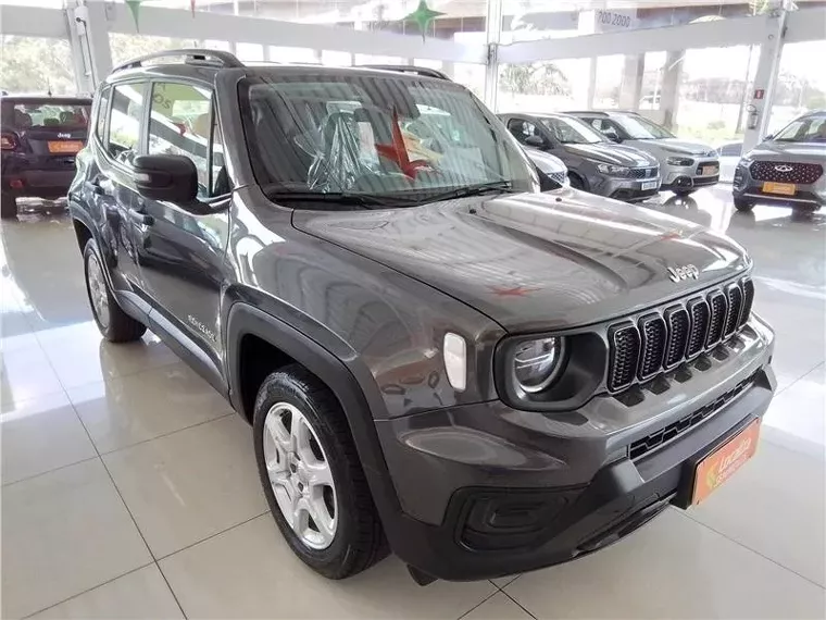 Jeep Renegade Cinza 2