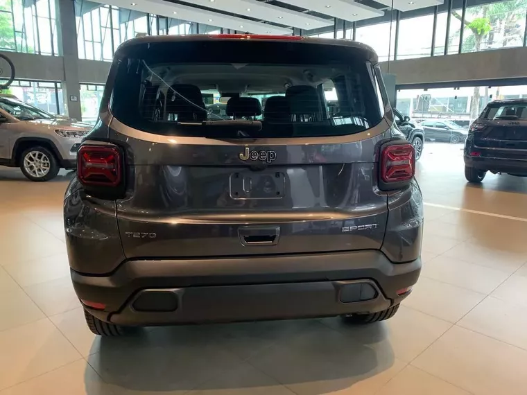 Jeep Renegade Cinza 8