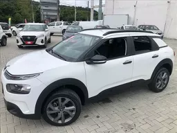 C4 Cactus