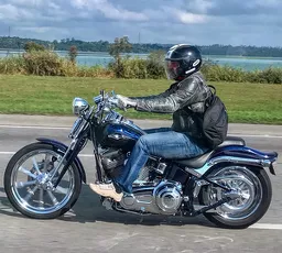 Harley-Davidson Springer