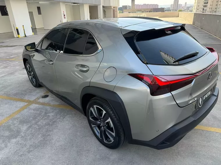 Lexus UX 250H Cinza 6