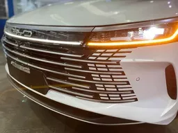 BYD King