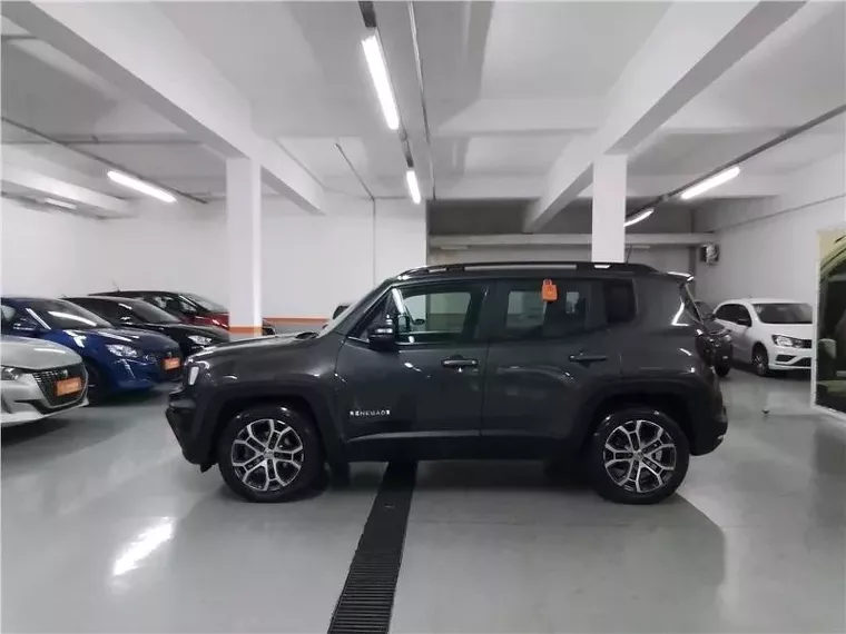 Jeep Renegade Cinza 4