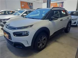 C4 Cactus