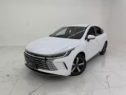 BYD King