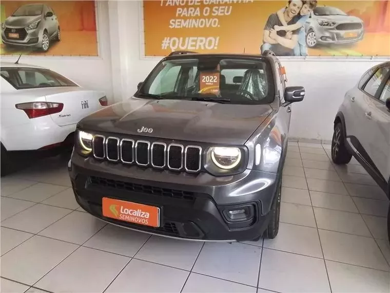 Jeep Renegade Cinza 1