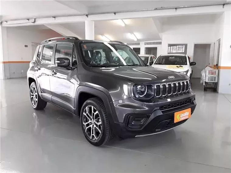 Jeep Renegade Cinza 3