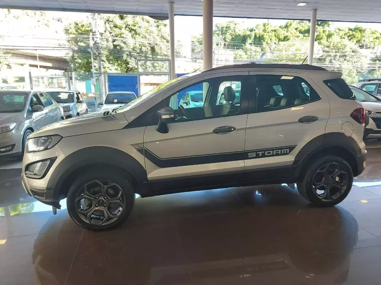 Ford Ecosport Branco 10