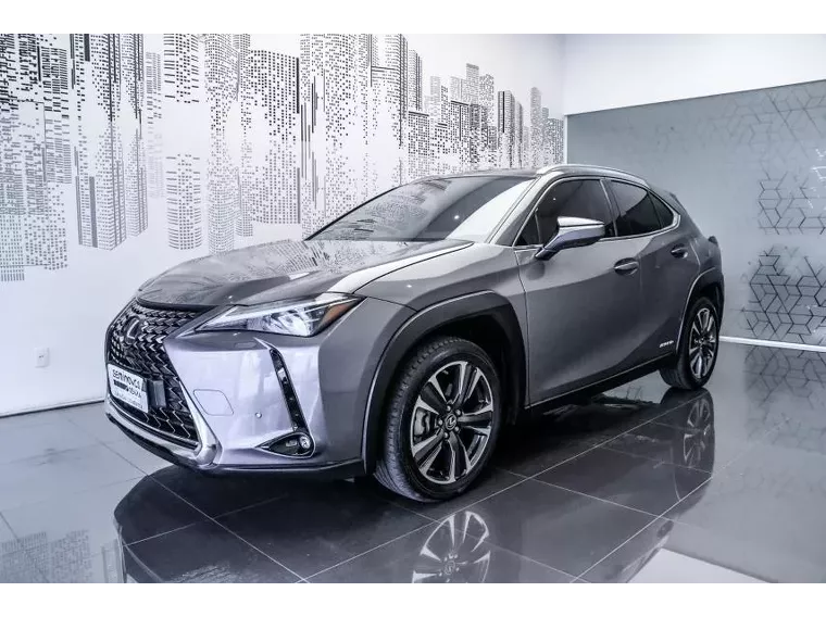 Lexus UX 250H Cinza 6