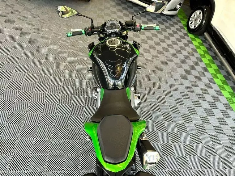 Kawasaki Z Verde 16