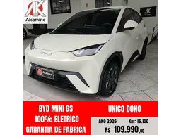 BYD Dolphin Mini