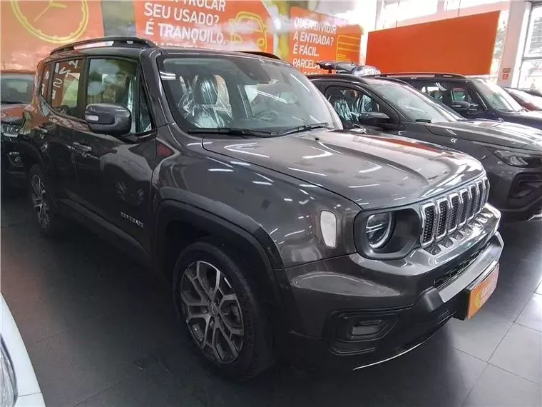 Jeep Renegade Cinza 10