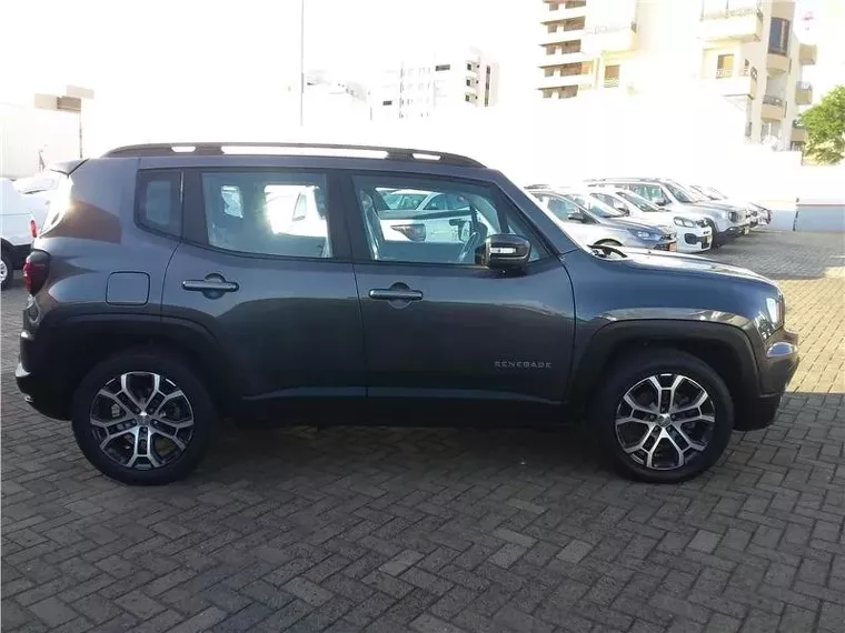 Jeep Renegade Cinza 3