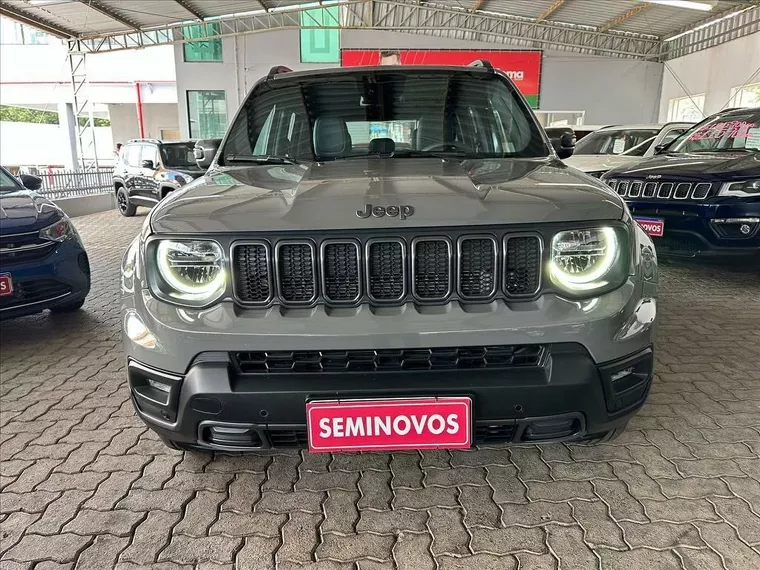 Jeep Renegade Cinza 3