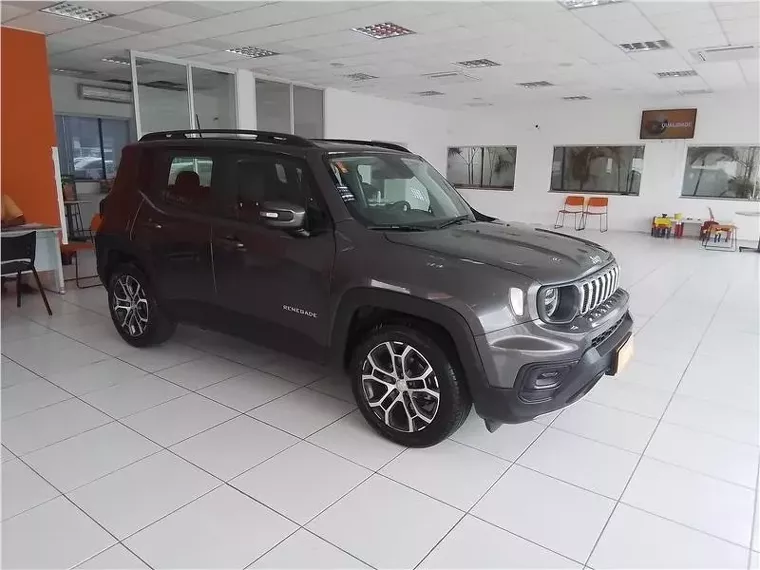 Jeep Renegade Cinza 1