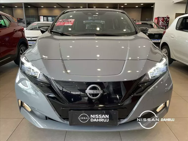 Nissan Leaf Cinza 1