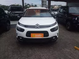 C4 Cactus