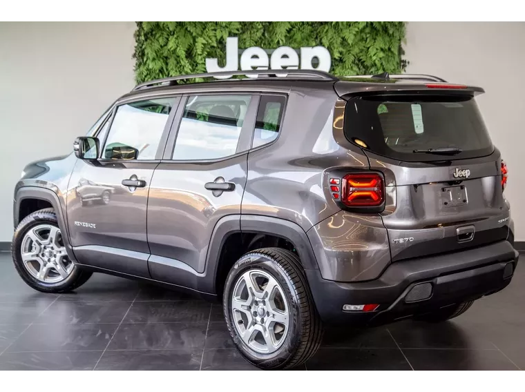 Jeep Renegade Cinza 9