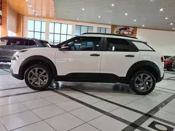 C4 Cactus