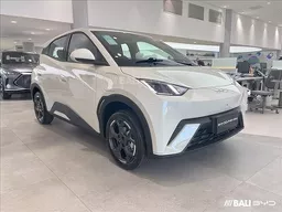 BYD Dolphin Mini