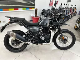 Himalayan