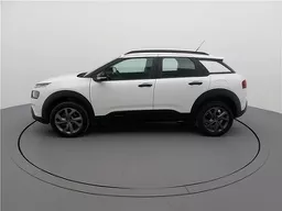 C4 Cactus