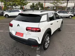 C4 Cactus