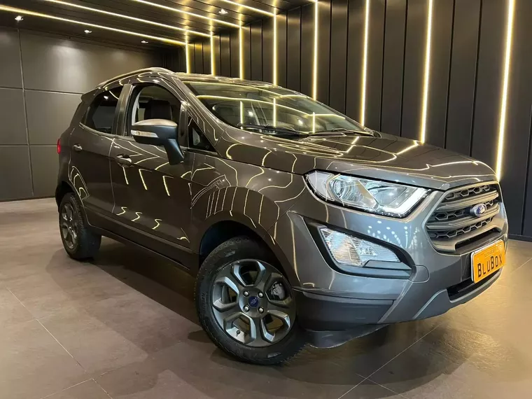 Ford Ecosport Cinza 3