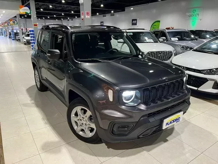 Jeep Renegade Cinza 3