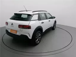 C4 Cactus