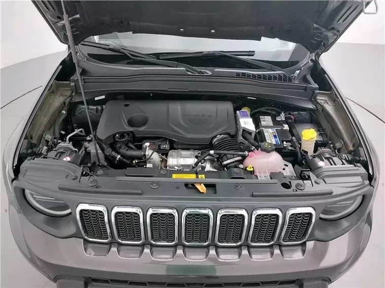 Jeep Renegade Cinza 16