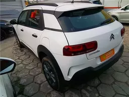 C4 Cactus