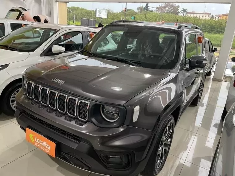 Jeep Renegade Cinza 4