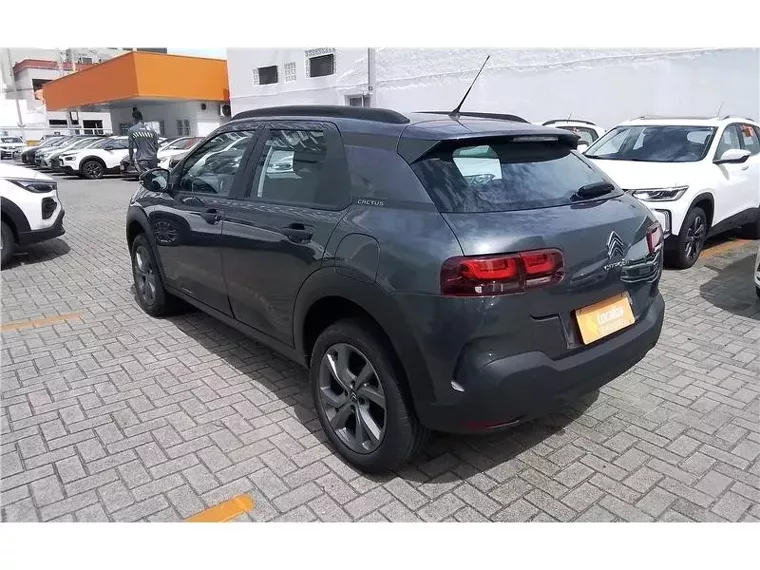 Citroën C4 Cactus Cinza 6