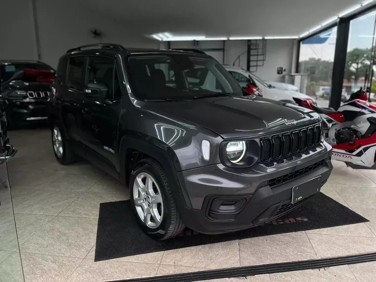 Jeep Renegade Cinza 3