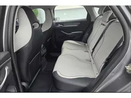 BYD King