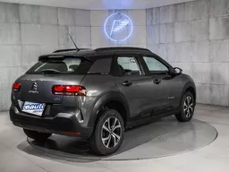 C4 Cactus