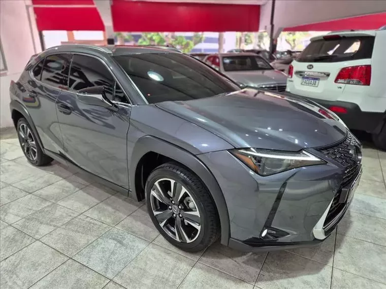 Lexus UX 250H Cinza 3