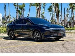 BYD King