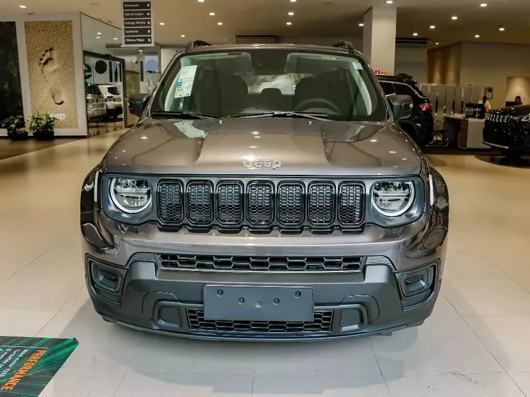 Jeep Renegade Cinza 5